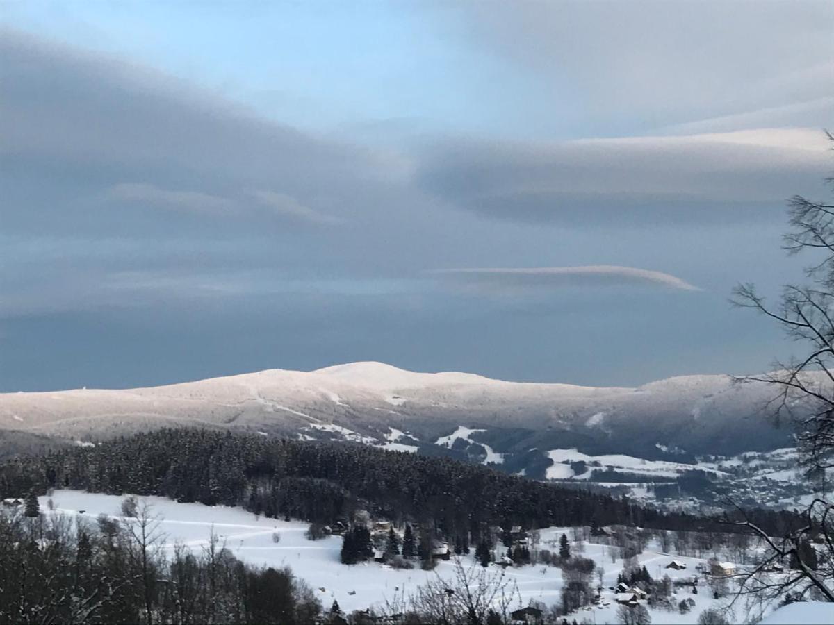 Penzion "V Zeleny" Rokytnice nad Jizerou Buitenkant foto