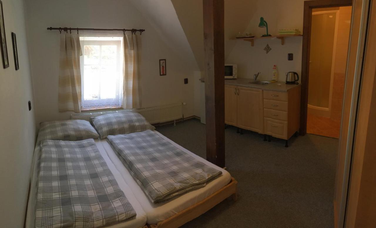 Penzion "V Zeleny" Rokytnice nad Jizerou Buitenkant foto