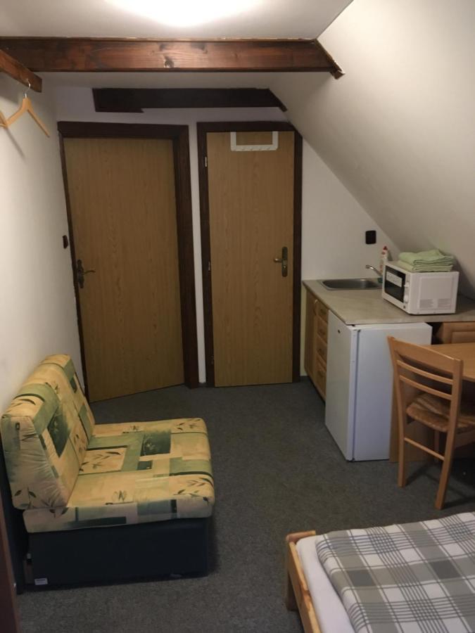 Penzion "V Zeleny" Rokytnice nad Jizerou Buitenkant foto